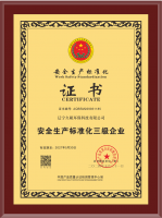 安全生產(chǎn)標準化